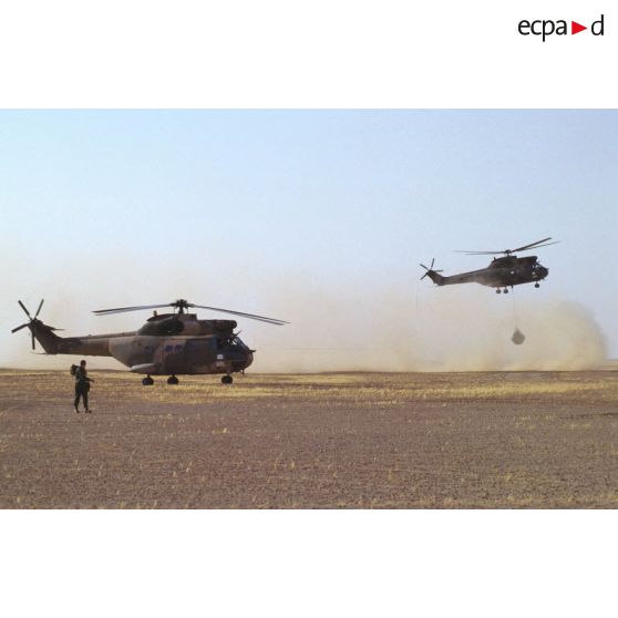 Manoeuvres d'héliportage par des hélicoptère de transport Puma SA-330 dans le désert.
