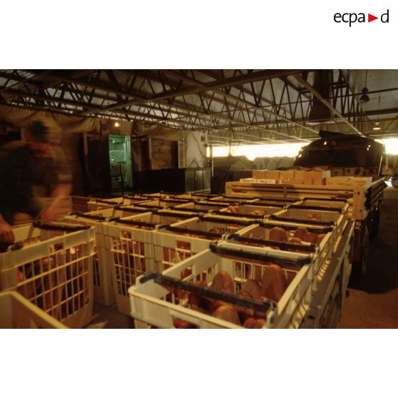 Le pain fabriqué par la boulangerie est chargé par les hommes du 511e RT sur des camions pour être livré aux troupes stationnées à Hafar al Batin.