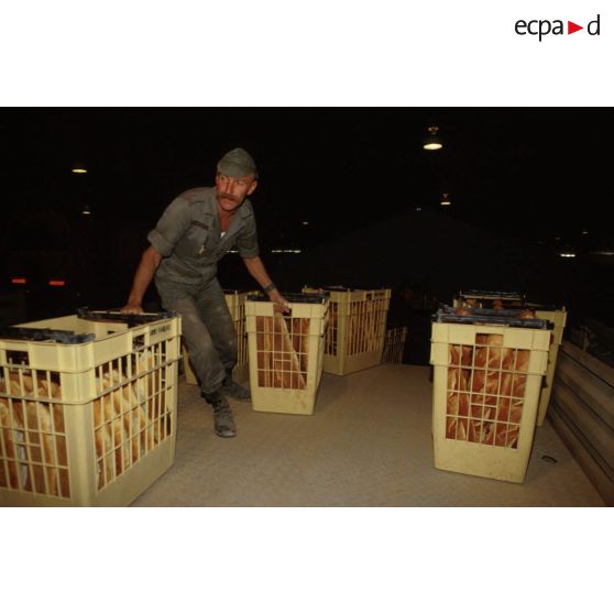Le pain fabriqué par la boulangerie est chargé par les hommes du 511e RT sur des camions pour être livré aux troupes stationnées à Hafar al Batin.