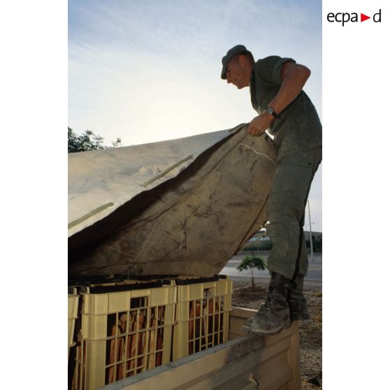 Le pain fabriqué par la boulangerie est chargé par les hommes du 511e RT sur des camions pour être livré aux troupes stationnées à Hafar al Batin. Les camions ainsi chargés sont bâchés.