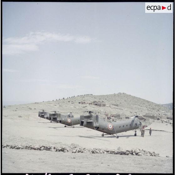 Hélicoptères Vertol H-21 au sol.
