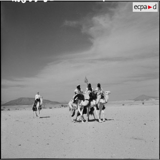 Des méharistes avec leurs dromadaires dans le désert.