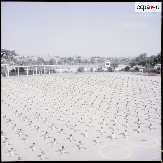 Représentation de gymnastique lors de la Journée de l’enseignement à Sétif.