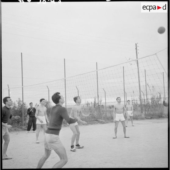 Joueurs de volley-ball.