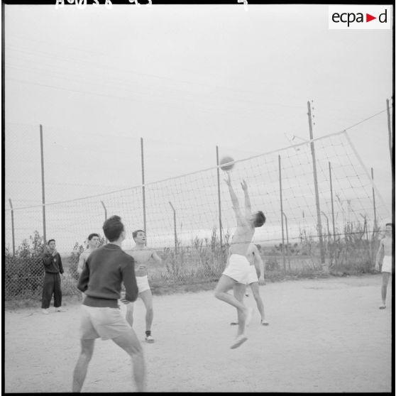 Joueurs de volley-ball.