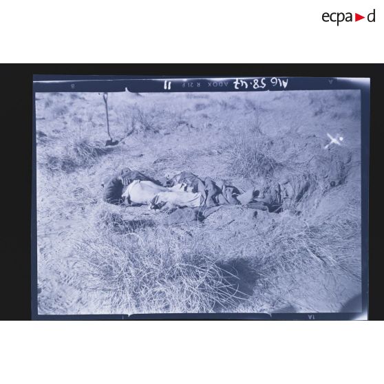 Cadavre d'un homme au sol.