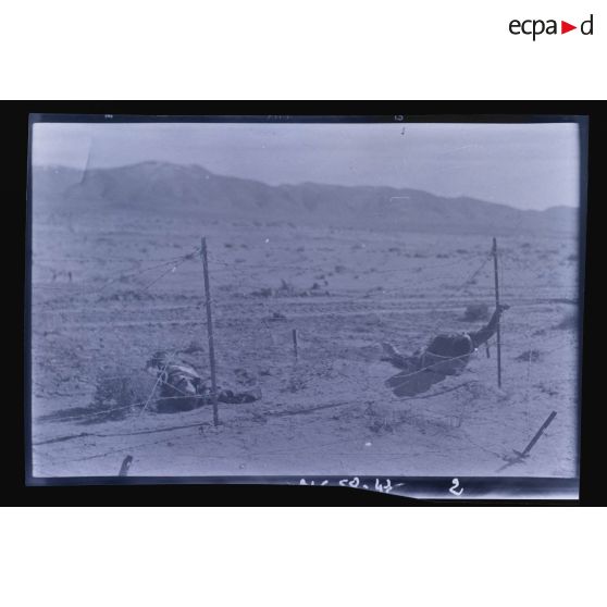 Cadavres sur un barrage fortifié.