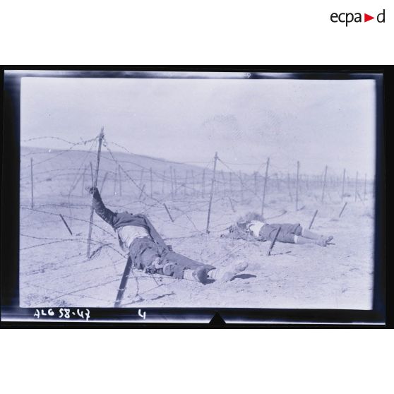 Cadavres sur un barrage fortifié.