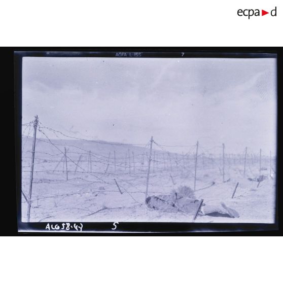 Cadavre sur un barrage fortifié.