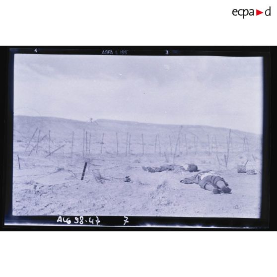Cadavres devant un barrage fortifié.