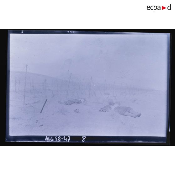 Cadavres devant un barrage fortifié.