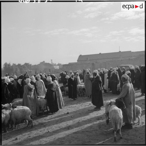 Des bergers avec leurs moutons sur une place de marché dans la région de Méchéria.