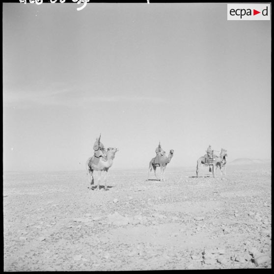 Hommes armés sur des dromadaires.
