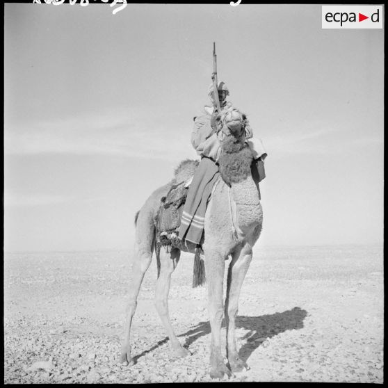 Un homme armé d'un fusil sur un dromadaire.