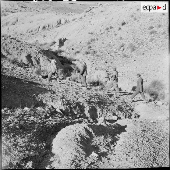 Capture de prisonniers dans le djebel Tarf.