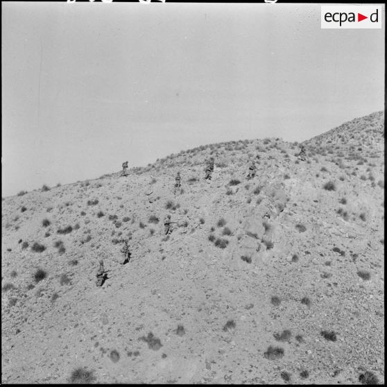 Capture de prisonniers dans le djebel Tarf.