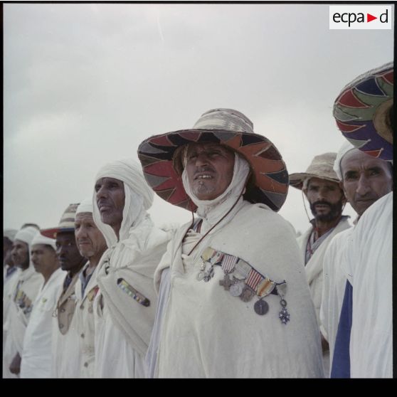Portrait d'un groupe d'anciens combattants arborant leurs décorations.