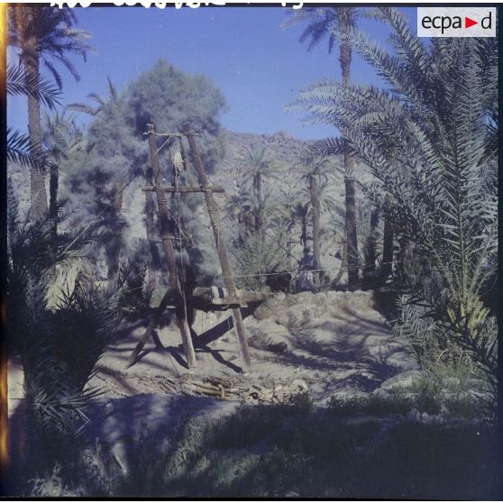 Un puits dans une oasis.