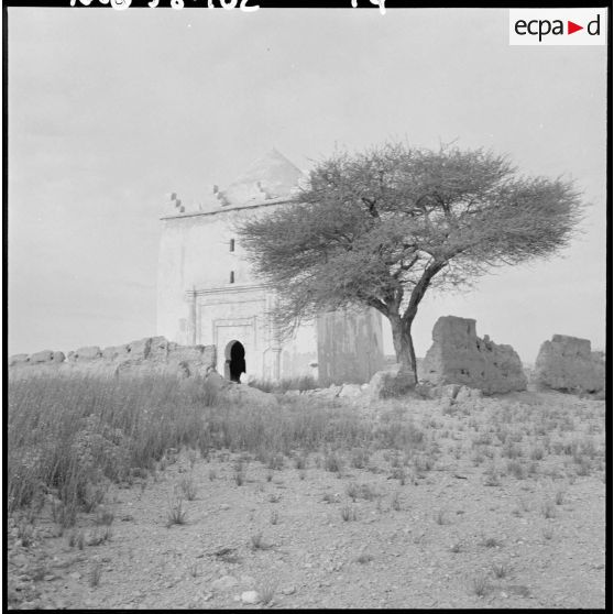 Vestiges en pierre et bâtiment au pied d'un arbre.