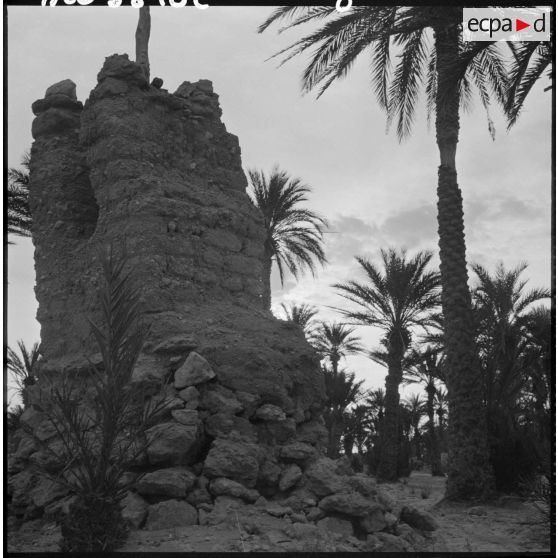 Construction en pierre dans la palmeraie de Tindouf.