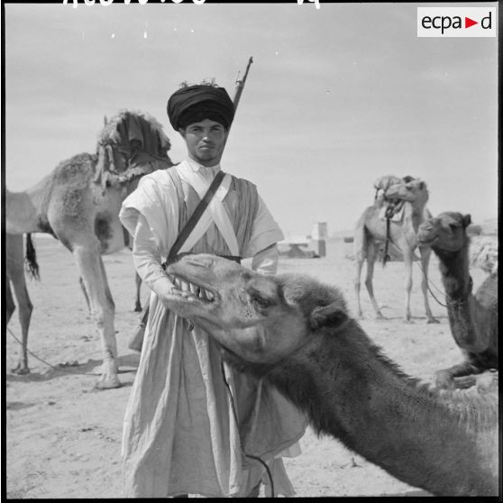 Portrait d'un jeune méhariste Reguibat de la compagnie méhariste du Dra.