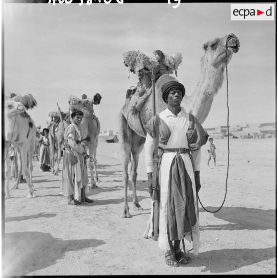 Convoi de méharistes de la tribu Reguibat de la compagnie méhariste du Dra avec leurs dromadaires.