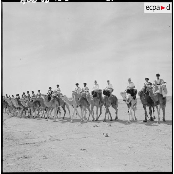 Convoi de méharistes de la tribu Reguibat de la compagnie méhariste du Dra avec leurs dromadaires.