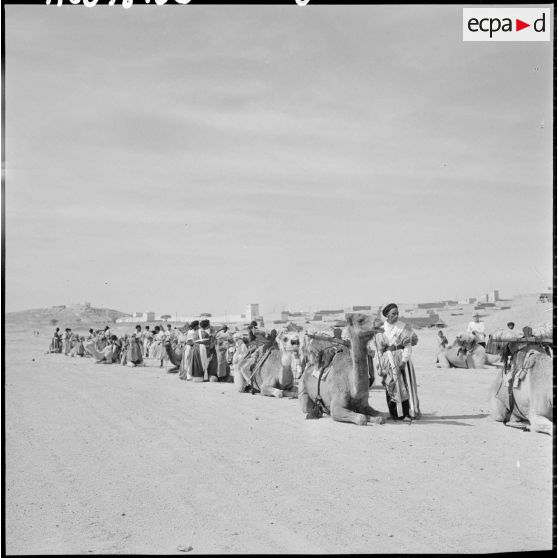 La Compagnie méhariste du DRA stationnée aux abords de Tindouf.