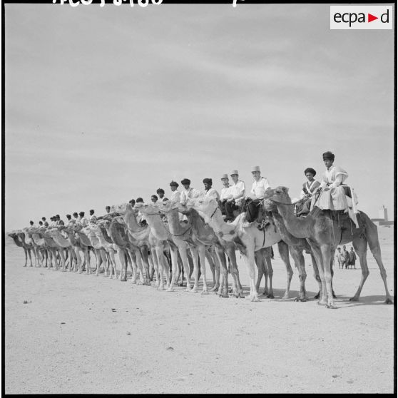 Les hommes de la compagnie méhariste du DRA sur leurs dromadaires.