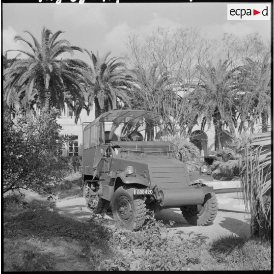 Hal-track devant un bâtiment et des palmiers.