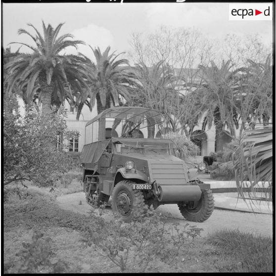 Half-track devant un bâtiment et des palmiers.