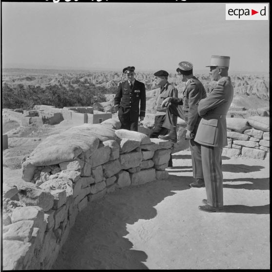Pierre Montel visite la palmeraie de Negrine.