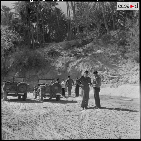 Pierre Montel visite la palmeraie de Negrine.