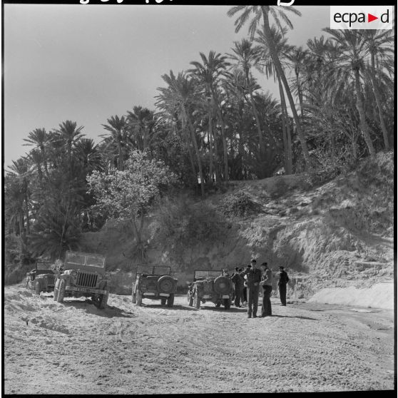 Pierre Montel visite la palmeraie de Negrine.