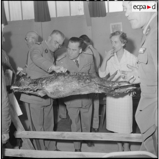 Dégustation du méchoui au mess du 1/22e régiment de tirailleurs algériens (RTA).