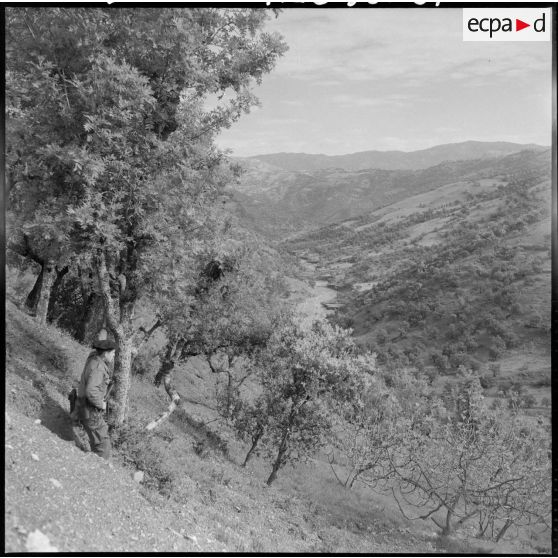 Vallée de l'Ocif Tleta, Grande Kabylie.