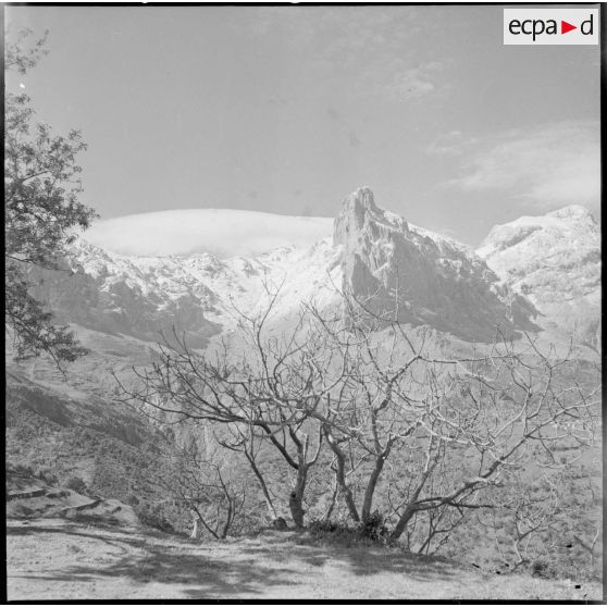 Rocher de la Grande Kabylie dit "la main du juif".