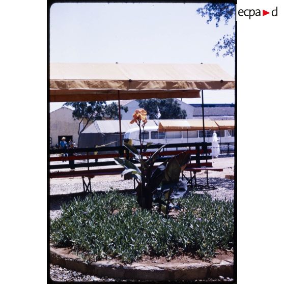 AFN-01-004. Jardin du P.C. 1959. IX arrondissement Oran. [légende d'origine]