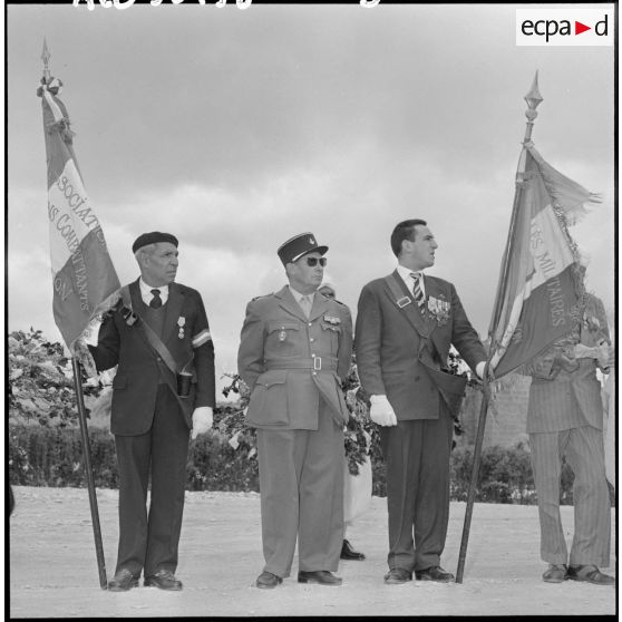 Les drapeaux d'anciens combattants de Tebessa.