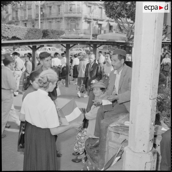 Marchand de drapeaux dans les rues d'Alger.