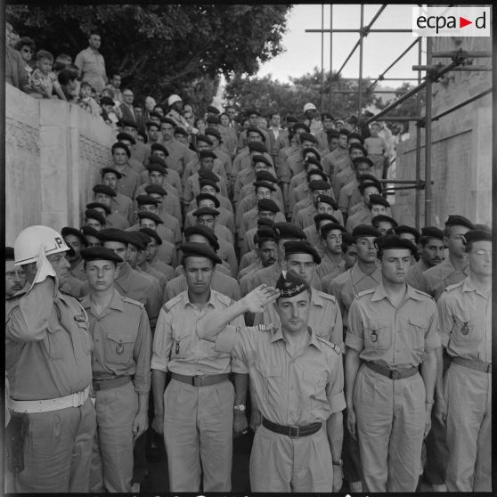 Alger. Cérémonie militaire.