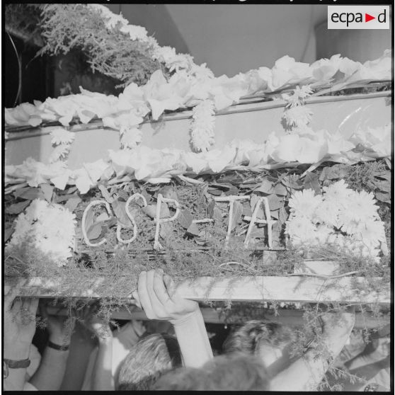 Manifestation à Alger.