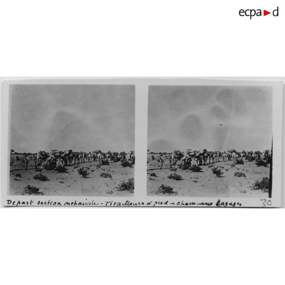 Départ section méhariste - tirailleurs à pied, chameaux bagages. [légende d'origine]<br>