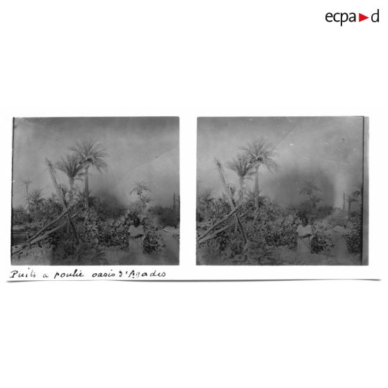 Puits à poulie dans l'oasis d'Agadès. [légende d'origine]