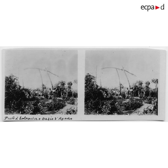 Puits à balancier - oasis d'Agadès. [légende d'origine]