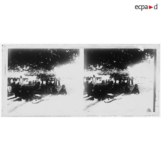 Marché au Dohomey - vendeuses sous un arbre (flamboyant). [légende d'origine]<br>