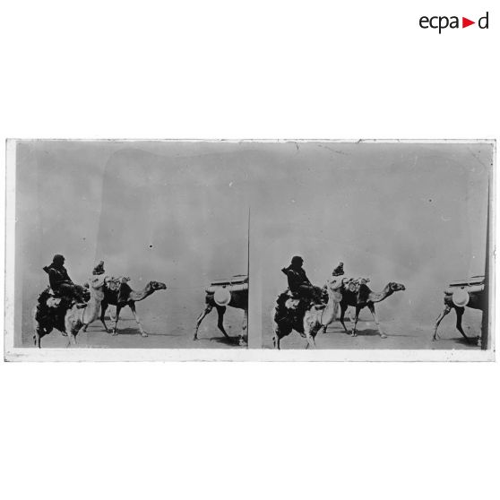 D'Tanezrouft - tirailleur ayant la figure entourée contre la chaleur. [légende d'origine]