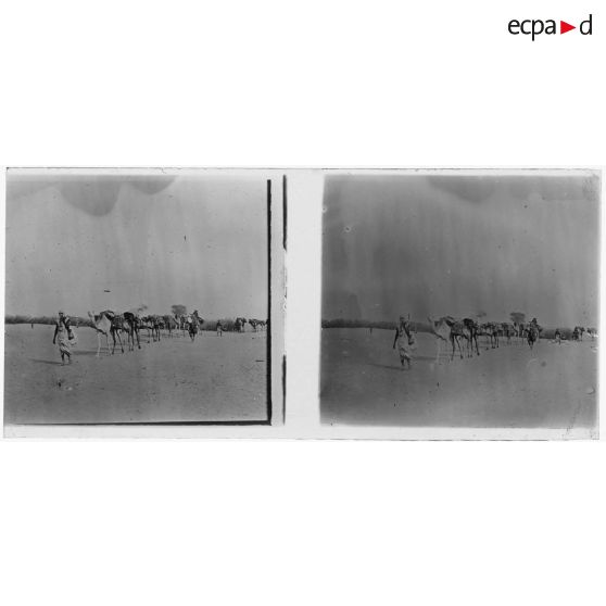 Convois de ravitaillement arrivant à Agadès. [légende d'origine]