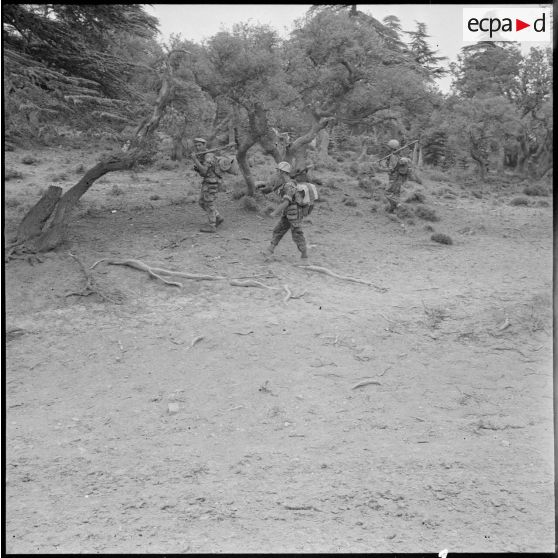 Opération dans le djebel Tilennsiouine.