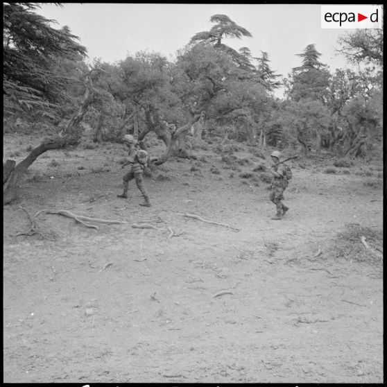Opération dans le djebel Tilennsiouine.